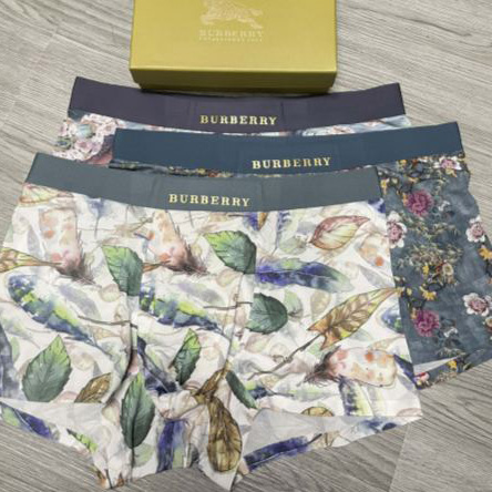 replica,repliche,fake,1:1,earrings,bracelet,ring,jewelry Intimo da uomo di lusso Burberry (tre pezzi)