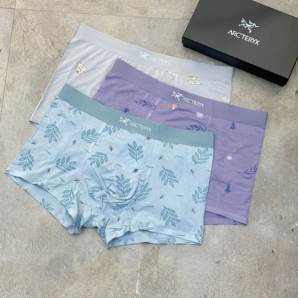 replica,repliche,fake,1:1,earrings,bracelet,ring,jewelry Intimo da uomo di lusso Arcteryx (tre pezzi)