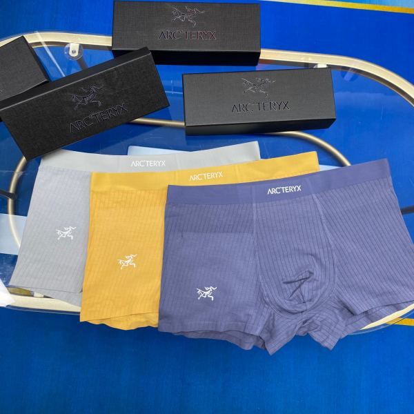 replica,repliche,fake,1:1,earrings,bracelet,ring,jewelry Intimo uomo Arcteryx (Tre pezzi)