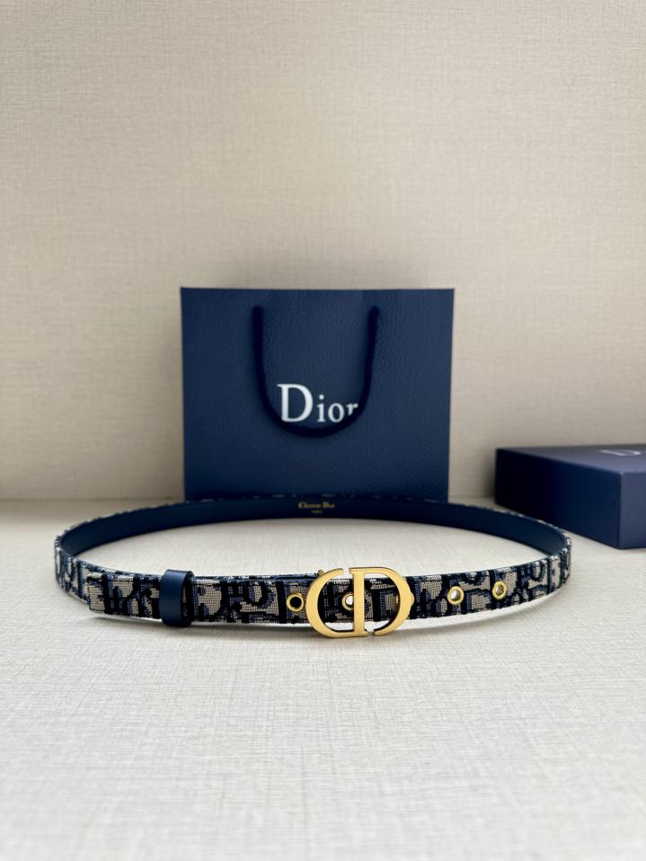 replica,repliche,fake,1:1,earrings,bracelet,ring,jewelry Tracolla da sella Dior larga 2,0 cm replica,repliche,fake,1:1,earrings,bracelet,ring,jewelry Tracolla da sella Dior larga 2,0 cm