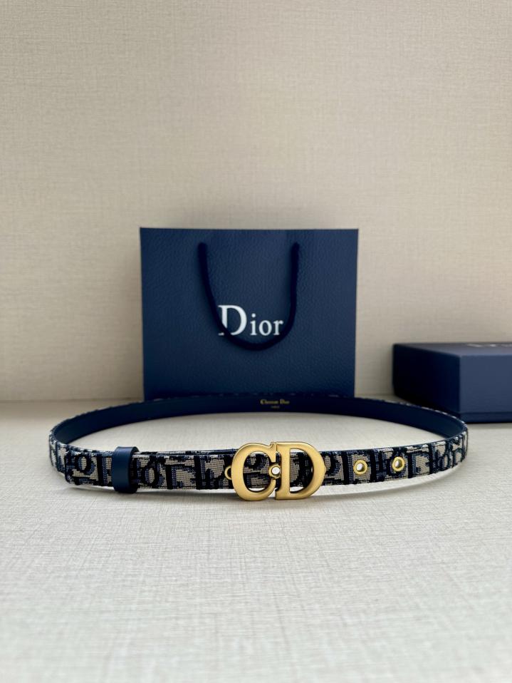 replica,repliche,fake,1:1,earrings,bracelet,ring,jewelry Tracolla da sella Dior larga 2,0 cm replica,repliche,fake,1:1,earrings,bracelet,ring,jewelry Tracolla da sella Dior larga 2,0 cm