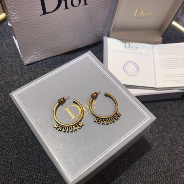 Contatore orecchini Dior (5C11)