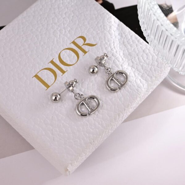 Orecchini Dior nuova lettera (D6C1)