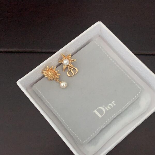 Gli ultimi orecchini CD asimmetrici di Dior (2B13)