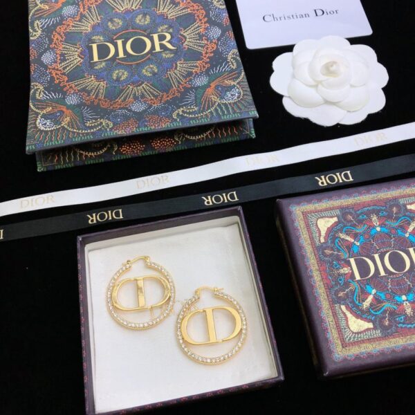 Orecchini a bottone con diamanti Dior CD lettera ago in argento 925 (B5E9)