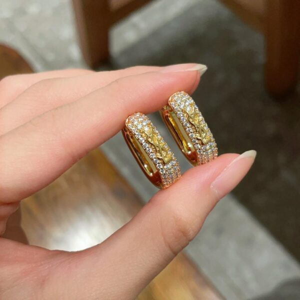 Nuovi orecchini Saint Laurent (EAAF)