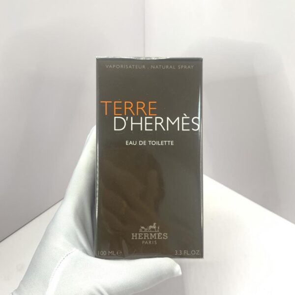 replica,repliche,fake,1:1,earrings,bracelet,ring,jewelry Hermes Earth Perfume 100ml (EDT) Eau de Toilette (2B3A)