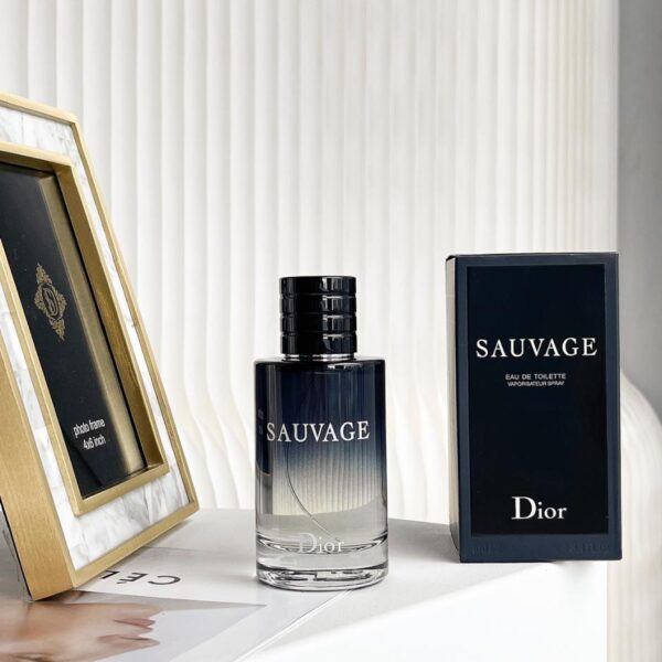replica,repliche,fake,1:1,earrings,bracelet,ring,jewelry Profumo Dior Men Sauvage Wilderness (150F)