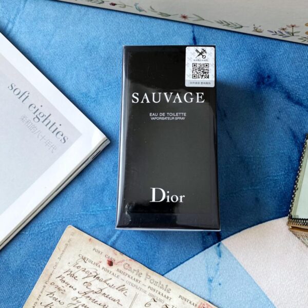 replica,repliche,fake,1:1,earrings,bracelet,ring,jewelry Dior Wilderness Homme Eau de Toilette 100 ml (B112)