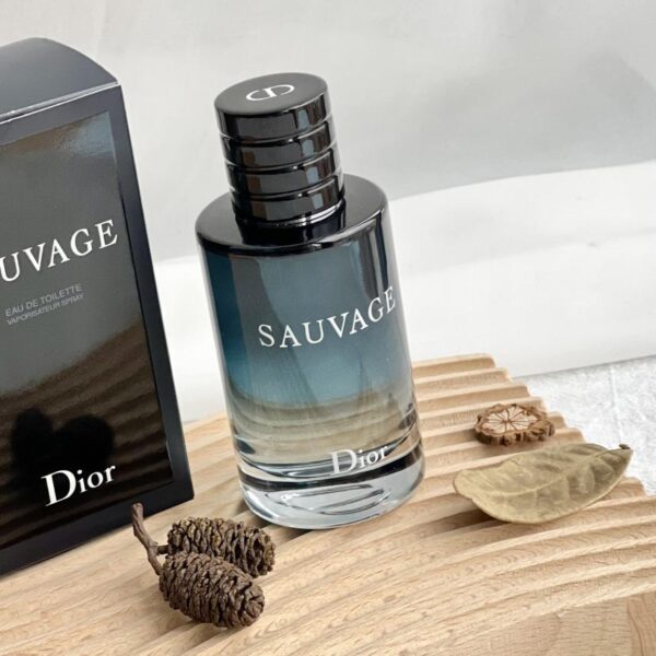 Fragranza leggera Dior Wilderness 100ml(2754)