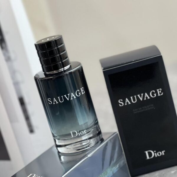 replica,repliche,fake,1:1,earrings,bracelet,ring,jewelry Dior Wilderness Eau de Toilette da uomo 100 ml (C8AB)