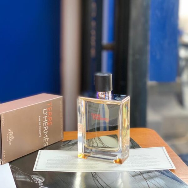 replica,repliche,fake,1:1,earrings,bracelet,ring,jewelry Hermes Earth Eau de Toilette da uomo unisex 100 ml.(0CDB)