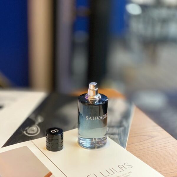 replica,repliche,fake,1:1,earrings,bracelet,ring,jewelry Dior Wilderness Eau de Toilette da uomo Acqua fresca a lunga durata 100 ml (0DC7)