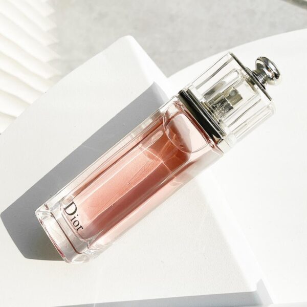 replica,repliche,fake,1:1,earrings,bracelet,ring,jewelry Dior Pink Charm Eau de Parfum 100ml(BC56)