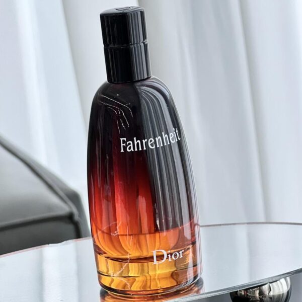 replica,repliche,fake,1:1,earrings,bracelet,ring,jewelry Dior “Fahrenheit” (81A9)