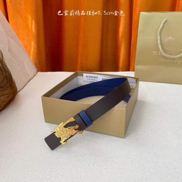 replica,repliche,fake,1:1,earrings,bracelet,ring,jewelry Burberry Classic Original Quality, larghezza 2,5 cm (2HSP8)