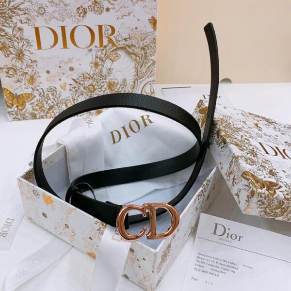 replica,repliche,fake,1:1,earrings,bracelet,ring,jewelry Cintura Dior Saddle 2,0 cm (JQ2ET)