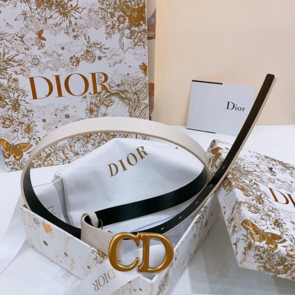 replica,repliche,fake,1:1,earrings,bracelet,ring,jewelry Cintura Dior Saddle 2,0 cm (VJF77)