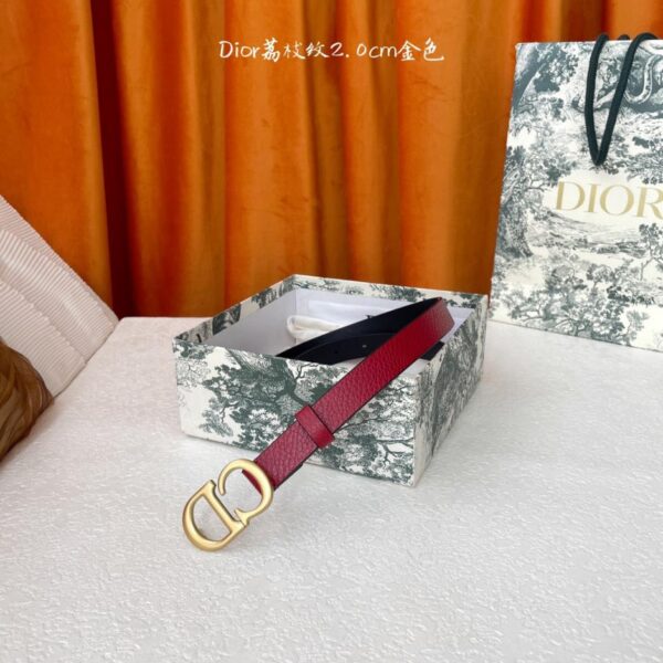 replica,repliche,fake,1:1,earrings,bracelet,ring,jewelry Cintura Dior larghezza 2,0 cm (T9JPB)