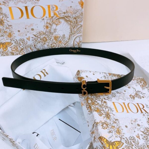 replica,repliche,fake,1:1,earrings,bracelet,ring,jewelry Cintura Dior Saddle Loop (KJ52W)