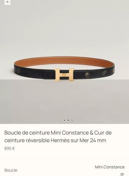 replica,repliche,fake,1:1,earrings,bracelet,ring,jewelry Cintura da donna Hermes, nuova MINI CONSTANCE, finiture di alta qualità con pelle Epsom importata, larghezza 24 mm (FJ665)