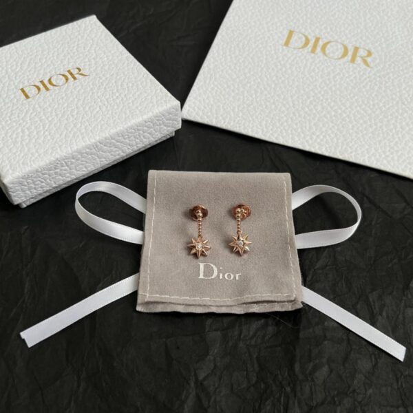Orecchini Dior (ALK4P)