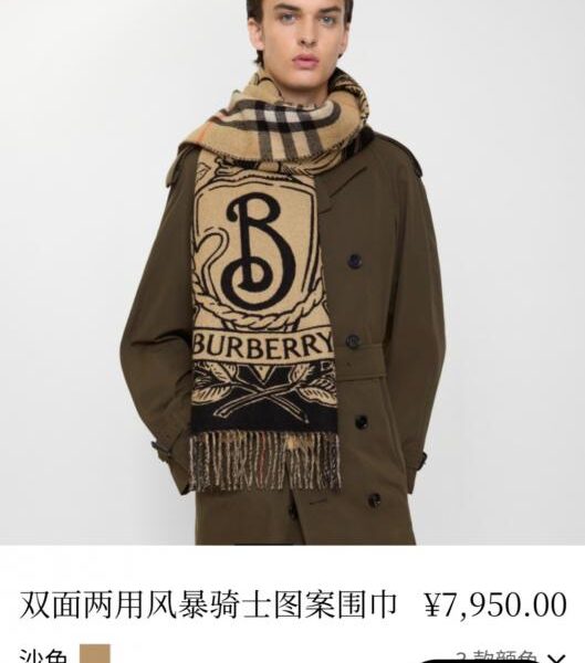 replica,repliche,fake,1:1,earrings,bracelet,ring,jewelry Scialle bifacciale Burberry Horse Knight (HNYBH)