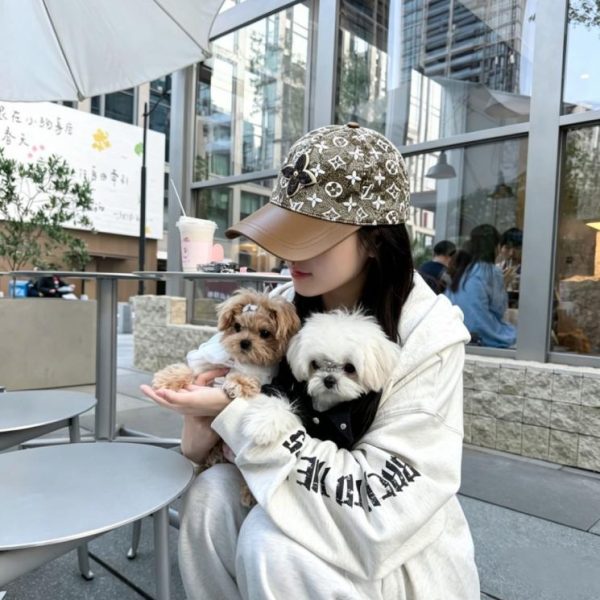 replica,repliche,fake,1:1,earrings,bracelet,ring,jewelry Cappellino da baseball Louis Vuitton (F4UNXC)