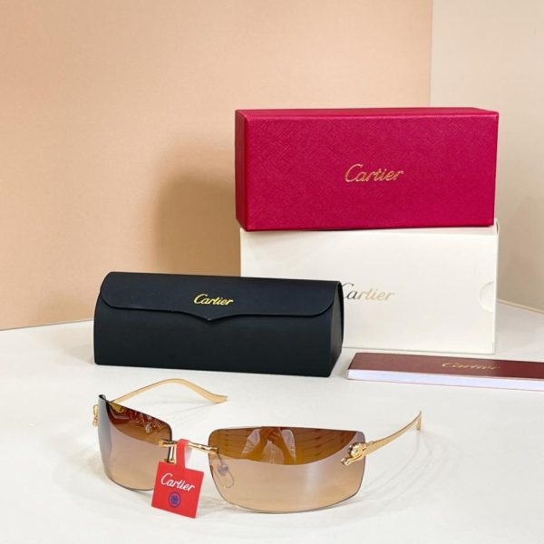replica,repliche,fake,1:1,earrings,bracelet,ring,jewelry Occhiali da sole Cartier, modello CT0503S (JHI0KS)