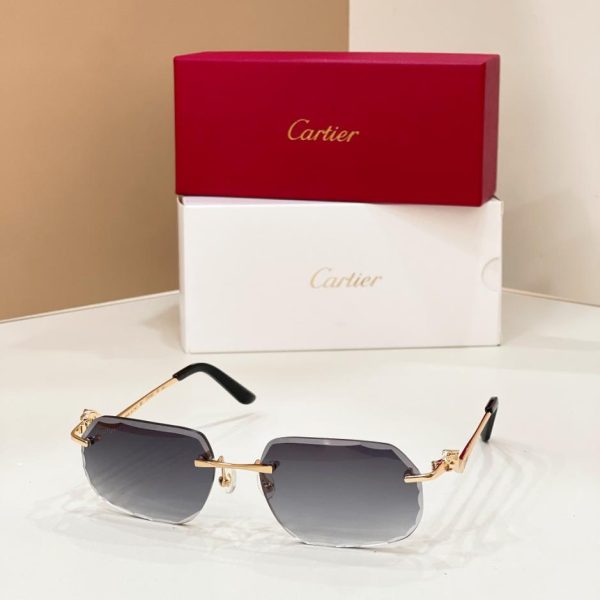 Occhiali da vista Cartier MODELLO CT0120O(EILG5F)